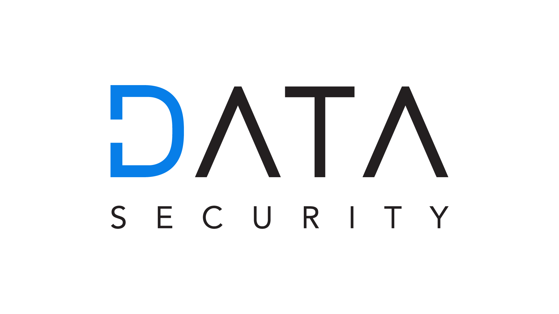 logo_datasecurity